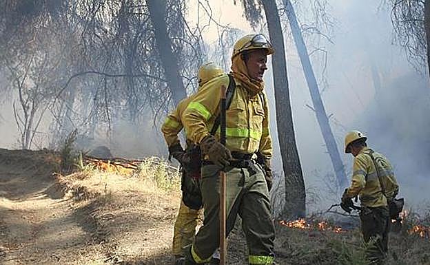 Imagen de archivo de una actuación del Infoca.