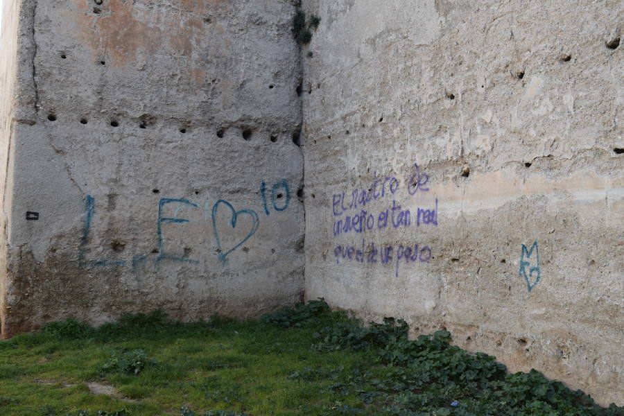 Algunos de los grafitis localizados en la muralla de la Alberzana, otros espacios del Albaicín y el Centro. 