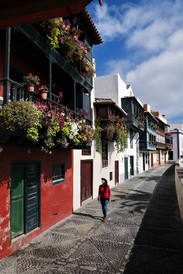 La Cosmopolilla visitando La Palma (Canarias).