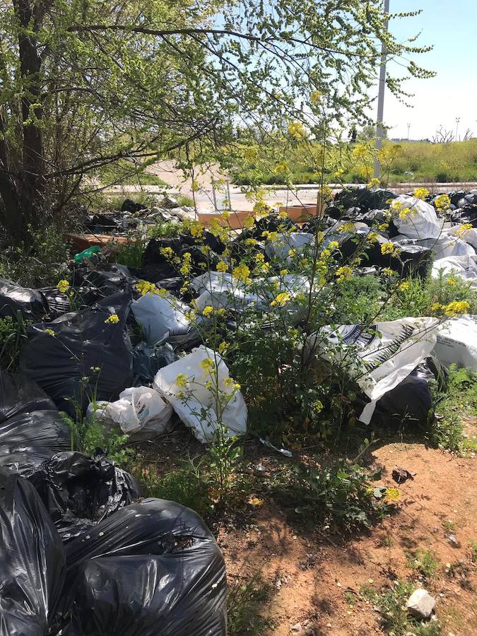 Cientos de bolsas se dispersan por distintos puntos del barrio granadino con restos de las plantaciones de marihuana