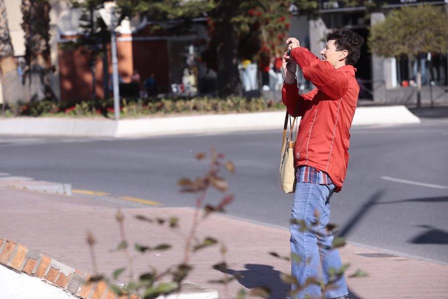 El puerto de Motril recibirá este año un 53% más de cruceristas que la temporada pasada