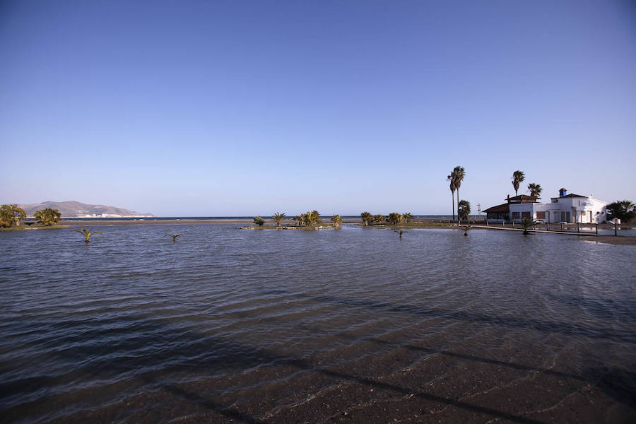 Todos han solicitado actuaciones urgentes para paliar los efectos del temporal, pero no tienen claro que éstas vaya a llegar antes del Domingo de Ramos 