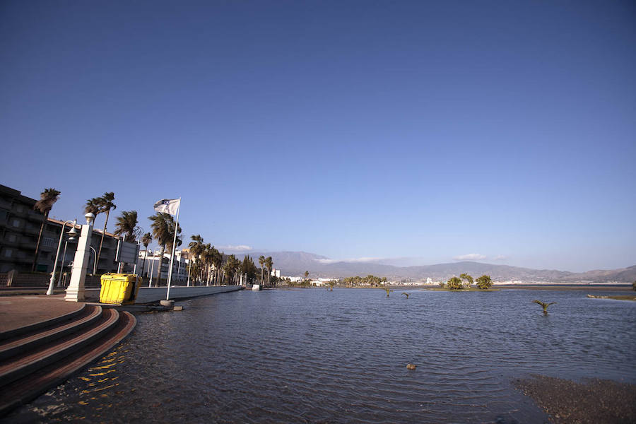 Todos han solicitado actuaciones urgentes para paliar los efectos del temporal, pero no tienen claro que éstas vaya a llegar antes del Domingo de Ramos 