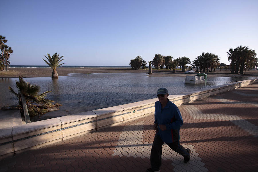 Todos han solicitado actuaciones urgentes para paliar los efectos del temporal, pero no tienen claro que éstas vaya a llegar antes del Domingo de Ramos 