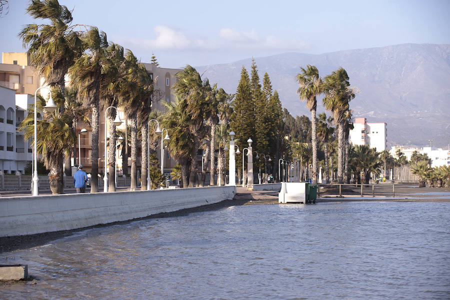 Todos han solicitado actuaciones urgentes para paliar los efectos del temporal, pero no tienen claro que éstas vaya a llegar antes del Domingo de Ramos 