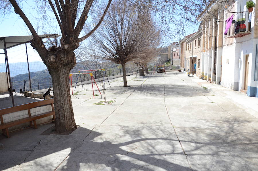 El Colegio Público Rural La Alpujarra tiene tres sedes. La de Alcútar, a la que sólo asisten 11 alumnos es la que está en peores condiciones. La de Bérchules con más niños escolarizados tiene unas instalaciones recientes. En las fotos también aparece el colegio Castillejos, abandonado hace décadas.