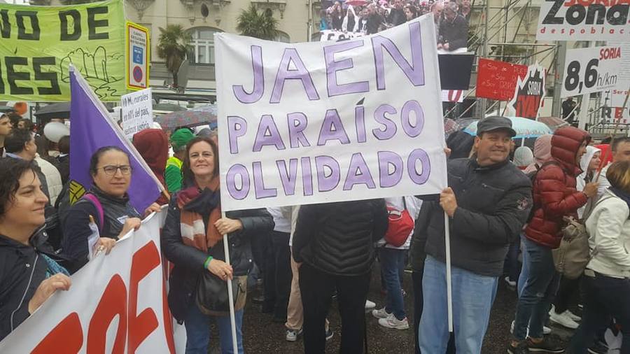 Seis organizaciones jienenses marchan junto a casi un centenar de colectivos de 23 provincias en una manifestación en Madrid