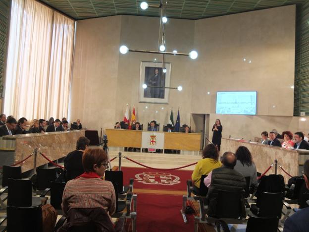 El pleno de Almería votó a favor de dos mociones en favor de la protección infantil.