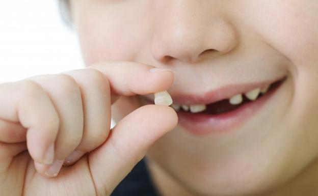 Guarda los dientes de leche de tu niño: pueden salvarle la vida en el futuro