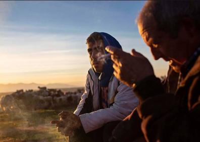 Imagen secundaria 1 - La trashumancia del altiplano de Granada, en Viena