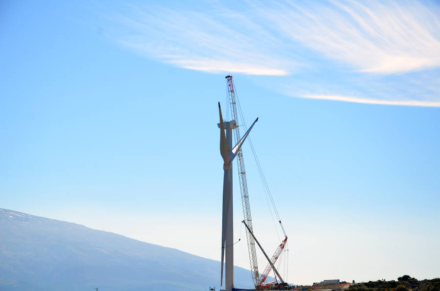 Durante toda una semana la empresa responsable de esta actuación intentó colocar las aspas a este coloso de la energía eólica, un prototipo cuyas palas son hechas en Granada