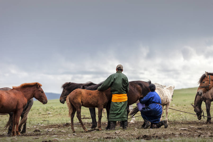 Recopilación de algunas fotografías de la expedición de la fundación Paralelo 70 a Mongolia. Puedes leer  el reportaje completo aquí