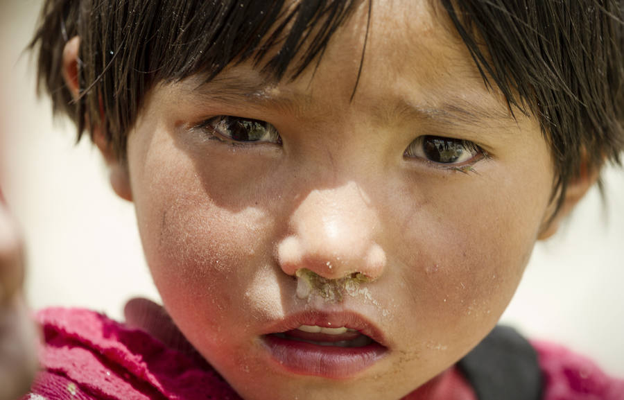 Recopilación de algunas fotografías de la expedición de la fundación Paralelo 70 a Mongolia. Puedes leer  el reportaje completo aquí