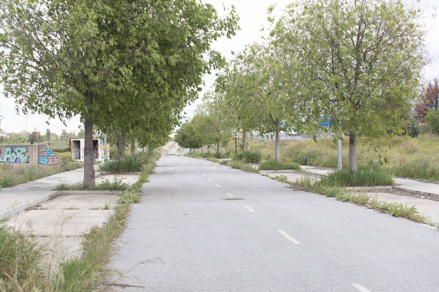 Estado actual de las calles urbanizadas del plan parcial I7, que se encuentra paralizado desde hace años.