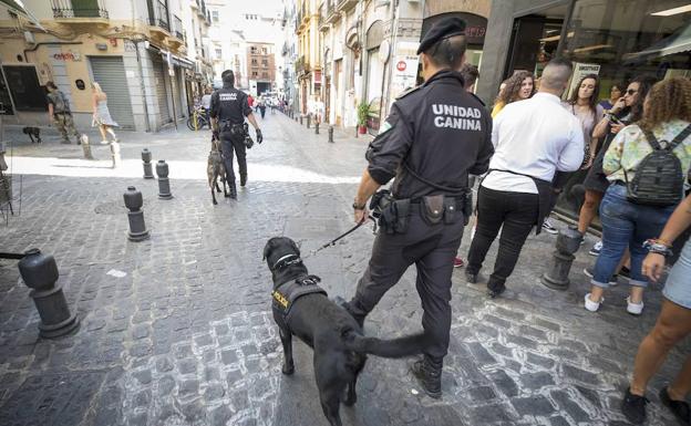 Agentes de la unidad canina de la Policía Nacional recorren la calle Elvira.