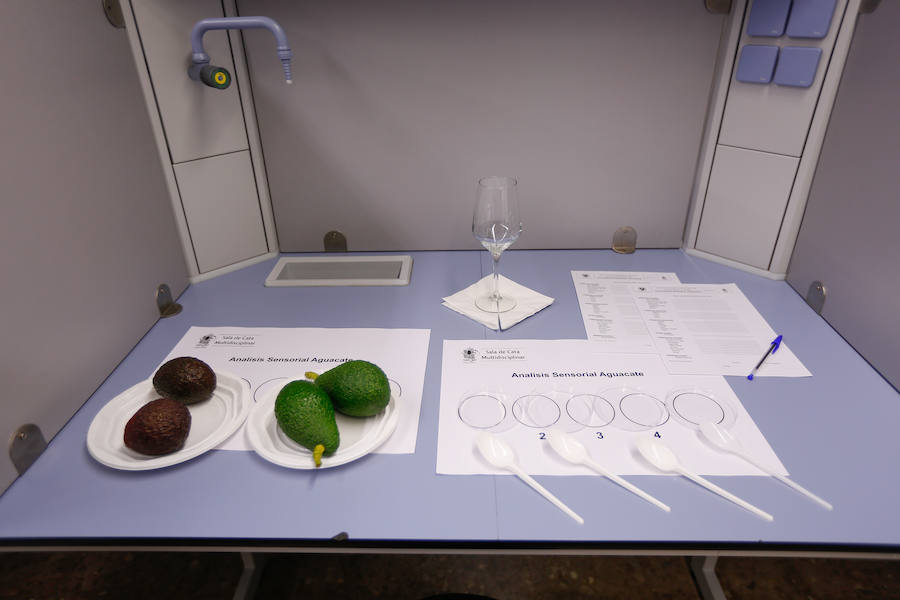 Catadores expertos analizan la calidad de aceites, vinos, frutas y hortalizas, ginebras, pan...  Puedes leer el reportaje completo aquí