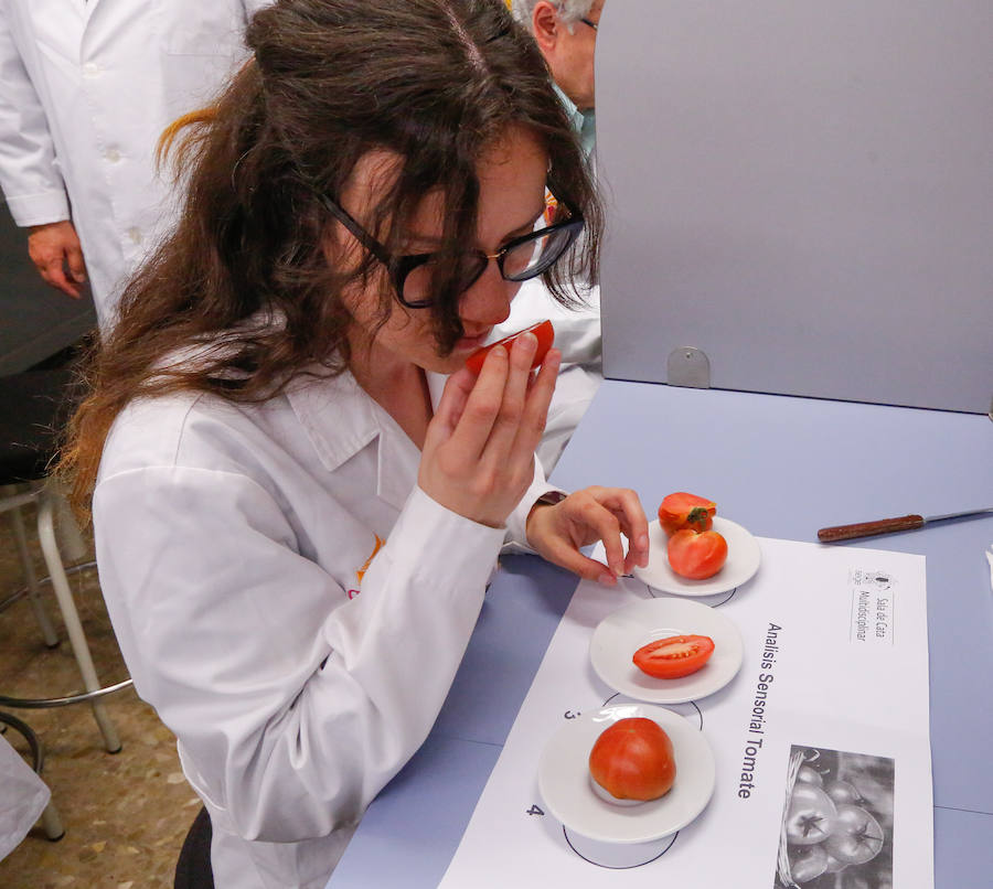 Catadores expertos analizan la calidad de aceites, vinos, frutas y hortalizas, ginebras, pan...  Puedes leer el reportaje completo aquí