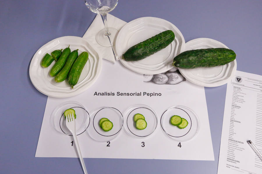 Catadores expertos analizan la calidad de aceites, vinos, frutas y hortalizas, ginebras, pan...  Puedes leer el reportaje completo aquí