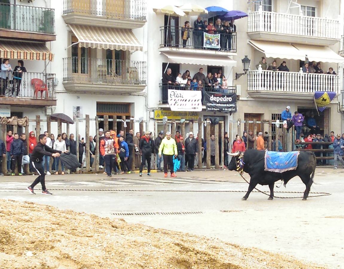 Beas de Segura cierra sus fiestas de los 'toros ensogaos' celebrando San Marcos. Ayer tuvo lugar el tercer y último desencajonamiento de este año