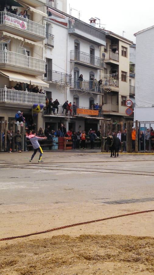 Beas de Segura cierra sus fiestas de los 'toros ensogaos' celebrando San Marcos. Ayer tuvo lugar el tercer y último desencajonamiento de este año