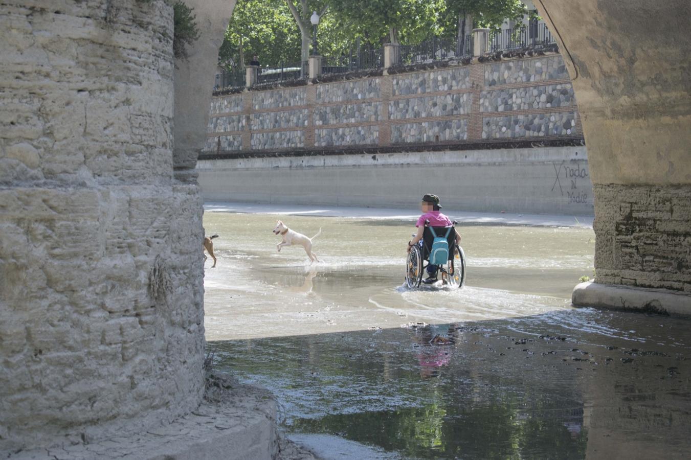 El rio Genil se llena de personas con la llegada del buen tiempo.
