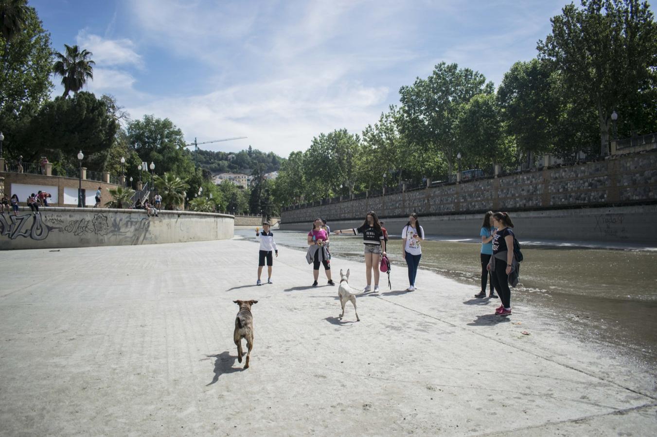 El rio Genil se llena de personas con la llegada del buen tiempo.
