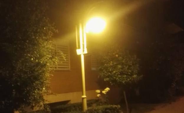 Alertan de la existencia de un panal de abejas en una farola en Granada