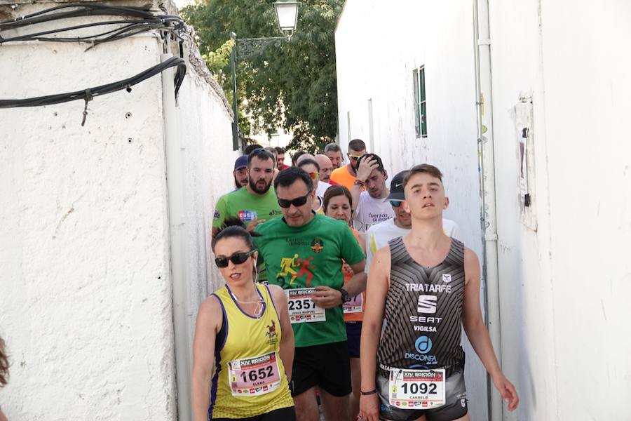 Un total de 13.1 kilómetros, dos menos que la pasada edición, y un desnivel acumulado de 207 metros de auténtica belleza por los barrios del Albaicín y el Sacromonte, dejando la Alhambra a la espalda, sin dejar de recorrer también los espacios más emblemáticos de la capital