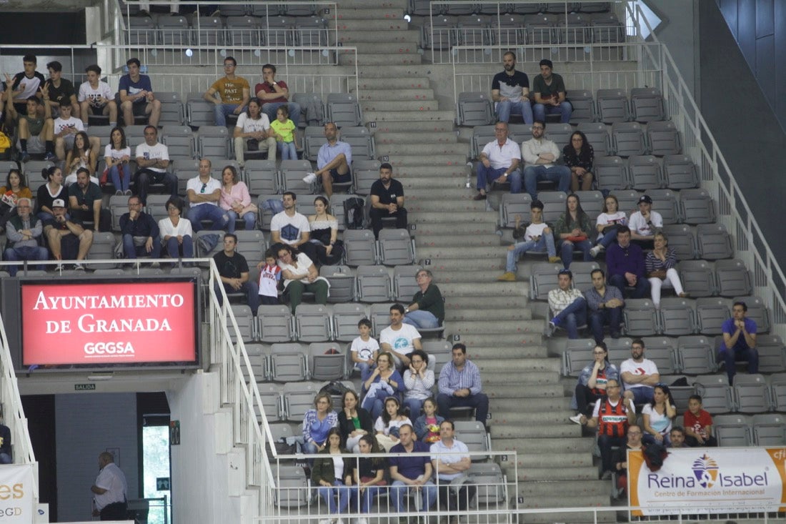 Aquí puedes ver una selección de las mejores imágenes de las gradas del Covirán-Iberojet Palma