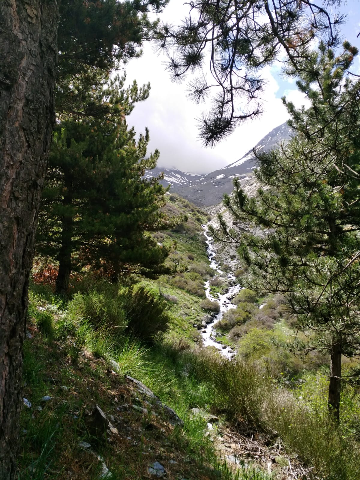 Iniciamos nuestra ruta en el mismo punto que la Vereda de la Estrella, en Güejar Sierra, donde dejaremos los vehículos y seguiremos las indicaciones hacia el barranco de San Juan,