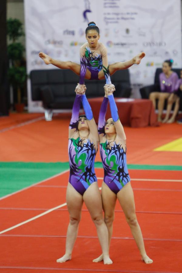 Durante los días 31 de mayo, 1 y 2 de junio 2019 se celebra el «Campeonato de España de Gimnasia Acrobática» organizado entre la Federación Española de Gimnasia y la Federación Andaluza de Gimnasia.Un evento que reúne a mas de 700 gimnastas de la acrobática de los diferentes puntos de España. Un evento único para disfrutar de un espectáculo deportivo con la familia y amigos
