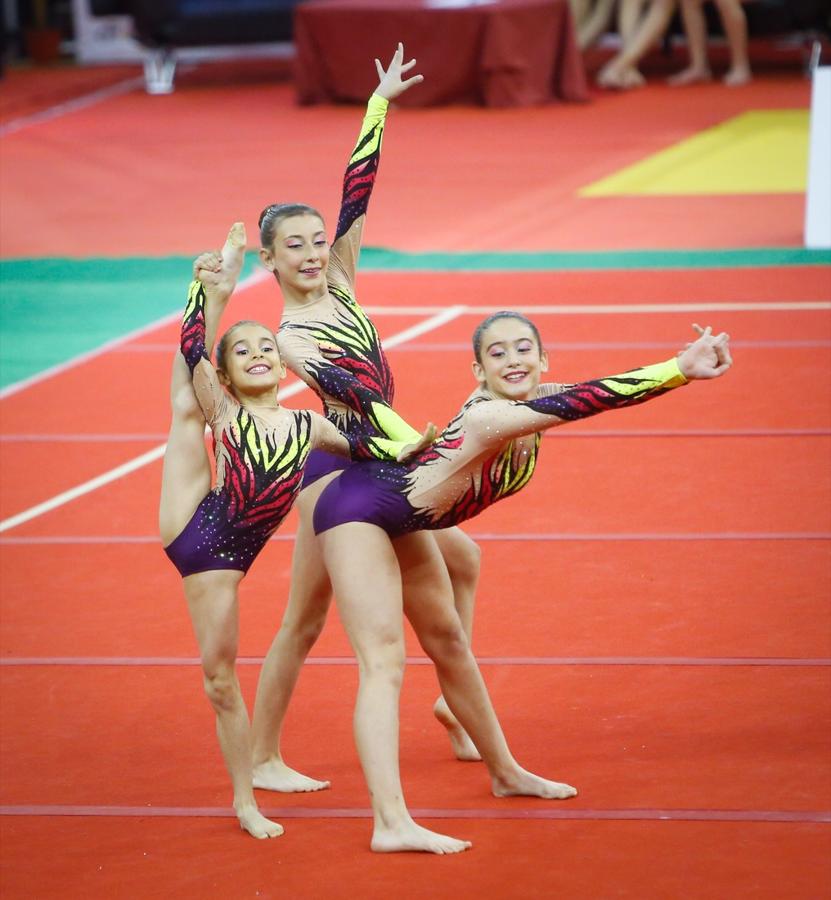 Durante los días 31 de mayo, 1 y 2 de junio 2019 se celebra el «Campeonato de España de Gimnasia Acrobática» organizado entre la Federación Española de Gimnasia y la Federación Andaluza de Gimnasia.Un evento que reúne a mas de 700 gimnastas de la acrobática de los diferentes puntos de España. Un evento único para disfrutar de un espectáculo deportivo con la familia y amigos