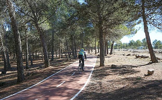 Vista del carril bici de Cumbres Verdes. La carrera discurre por la carretera. 