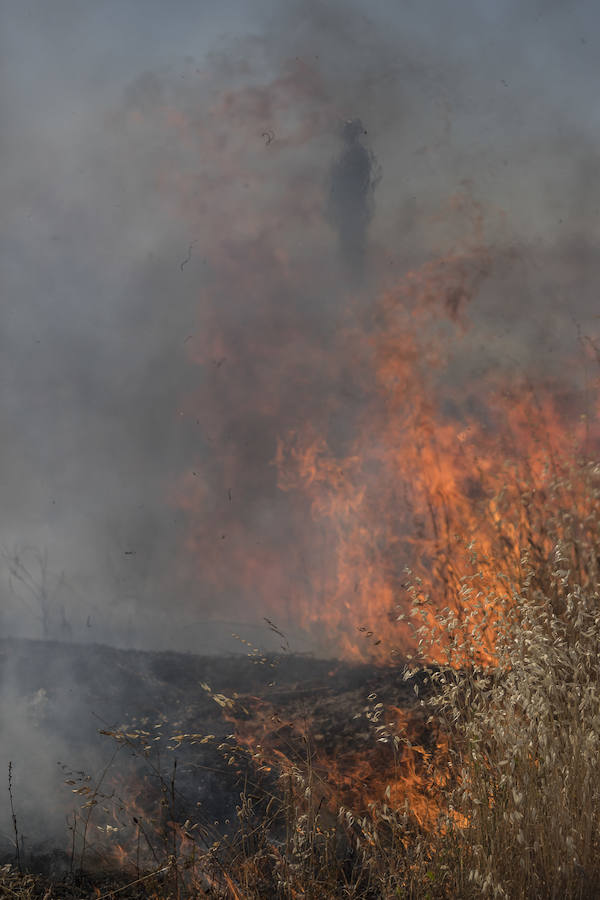 Los bomberos del Parque Norte han acudido en dos ocasiones a una zona próxima al centro comercial Alameda para sofocar dos fuegos