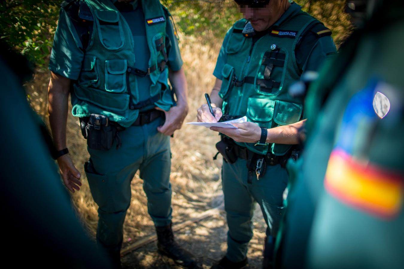 Operación de la Guardia civil contra los cultivos de marihuana