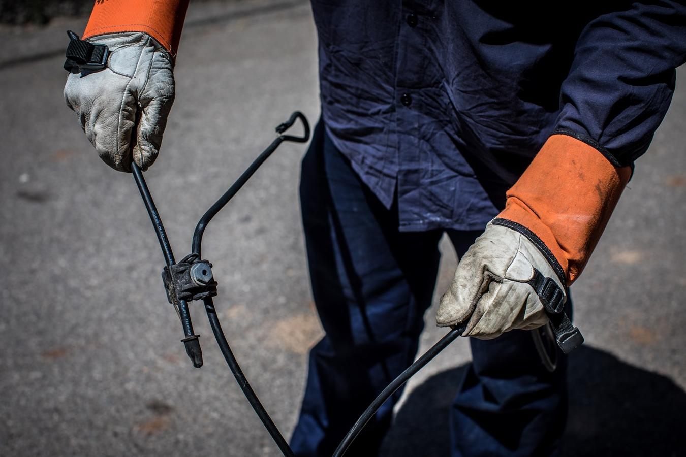 Operación de la Guardia civil contra los cultivos de marihuana