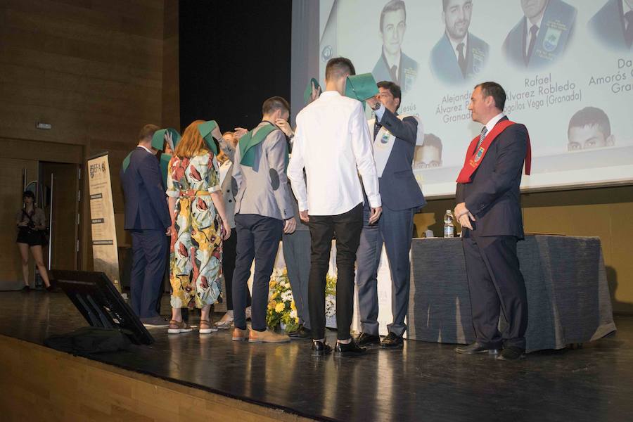 Además, ha distinguido al Ayuntamiento de Fuente Vaqueros, al Patronato de la Alhambra y a IDEAL por su suplemento AG