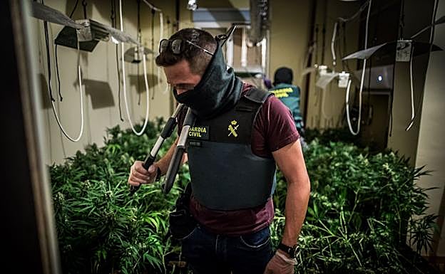 Imagen. Un agente, con tijeras de podar.