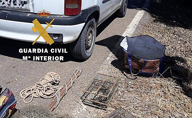 Investigado un vecino de La Carolina por capturar aves prohibidas