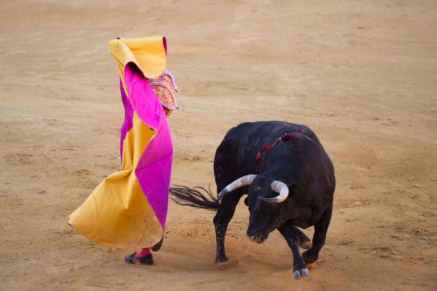 El Fandi fue arrollado de mala manera junto a las tablas porque el toro no obedeció cuando ejecutó al quiebro el tercer par de banderillas, iniciado de rodillas.. Se vivieron momentos de angustia en la Monumental de Frascuelo, pero cuando el granadino logró recomponerse volvió a la cara del astado para muletearlo de rodillas y sacar aún más toda su raza. La que le faltó al de Hermanos García Jiménez. Una vez más El Fandi estuvo poderoso y paseó oreja tras estocada entera.