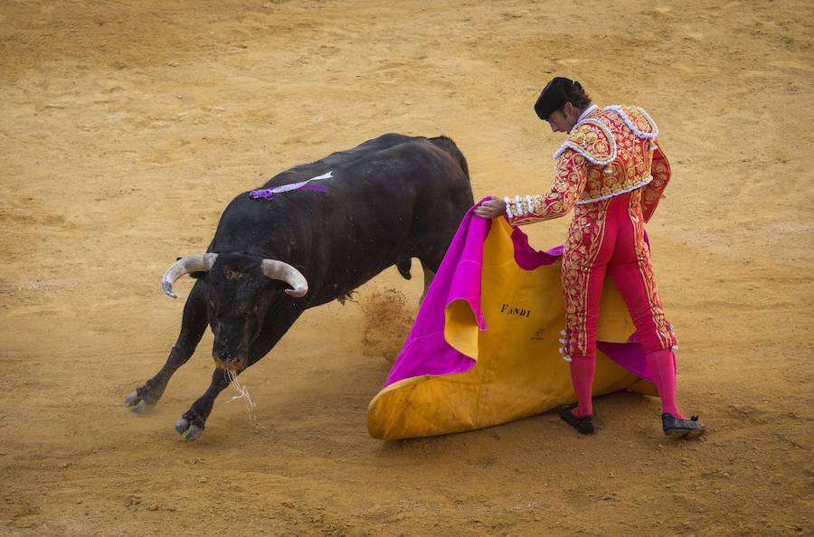 El Fandi fue arrollado de mala manera junto a las tablas porque el toro no obedeció cuando ejecuto al quiebro el tercer par de banderillas, iniciado de rodillas.. Se vivieron momentos de angustia en la Monumental de Frascuelo, pero cuando el granadino logro recomponerse volvió a la cara del astado para muletearlo de rodillas y sacar aún más toda su raza. La que le faltó al de Hermanos García Jiménez. Una vez más El Fandi estuvo poderoso y paseó oreja tras estocada entera.