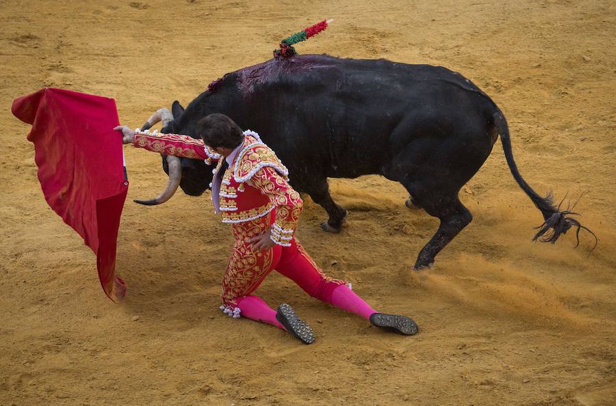 El Fandi fue arrollado de mala manera junto a las tablas porque el toro no obedeció cuando ejecuto al quiebro el tercer par de banderillas, iniciado de rodillas.. Se vivieron momentos de angustia en la Monumental de Frascuelo, pero cuando el granadino logro recomponerse volvió a la cara del astado para muletearlo de rodillas y sacar aún más toda su raza. La que le faltó al de Hermanos García Jiménez. Una vez más El Fandi estuvo poderoso y paseó oreja tras estocada entera.