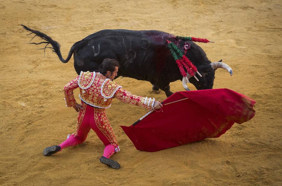 El Fandi fue arrollado de mala manera junto a las tablas porque el toro no obedeció cuando ejecuto al quiebro el tercer par de banderillas, iniciado de rodillas.. Se vivieron momentos de angustia en la Monumental de Frascuelo, pero cuando el granadino logro recomponerse volvió a la cara del astado para muletearlo de rodillas y sacar aún más toda su raza. La que le faltó al de Hermanos García Jiménez. Una vez más El Fandi estuvo poderoso y paseó oreja tras estocada entera.