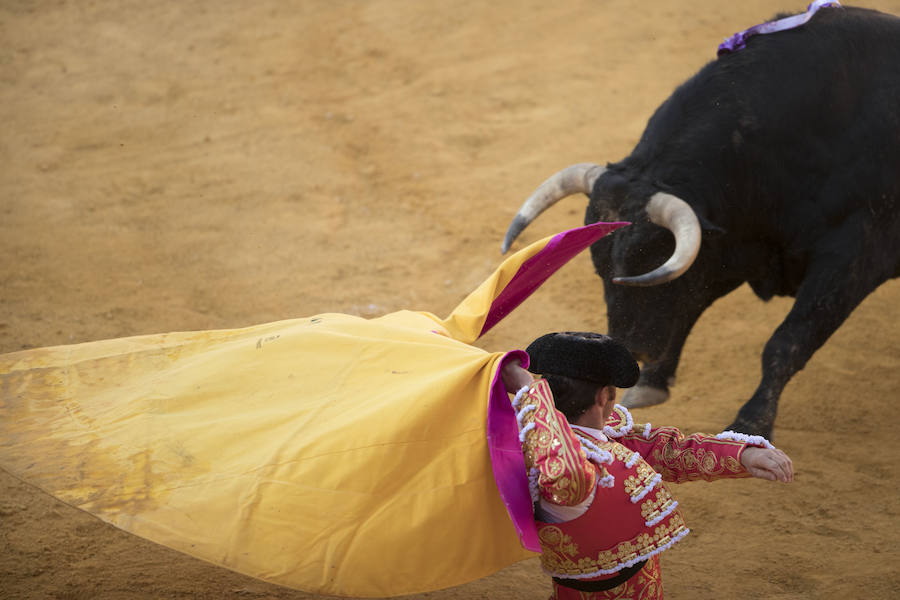 El Fandi fue arrollado de mala manera junto a las tablas porque el toro no obedeció cuando ejecuto al quiebro el tercer par de banderillas, iniciado de rodillas.. Se vivieron momentos de angustia en la Monumental de Frascuelo, pero cuando el granadino logro recomponerse volvió a la cara del astado para muletearlo de rodillas y sacar aún más toda su raza. La que le faltó al de Hermanos García Jiménez. Una vez más El Fandi estuvo poderoso y paseó oreja tras estocada entera.