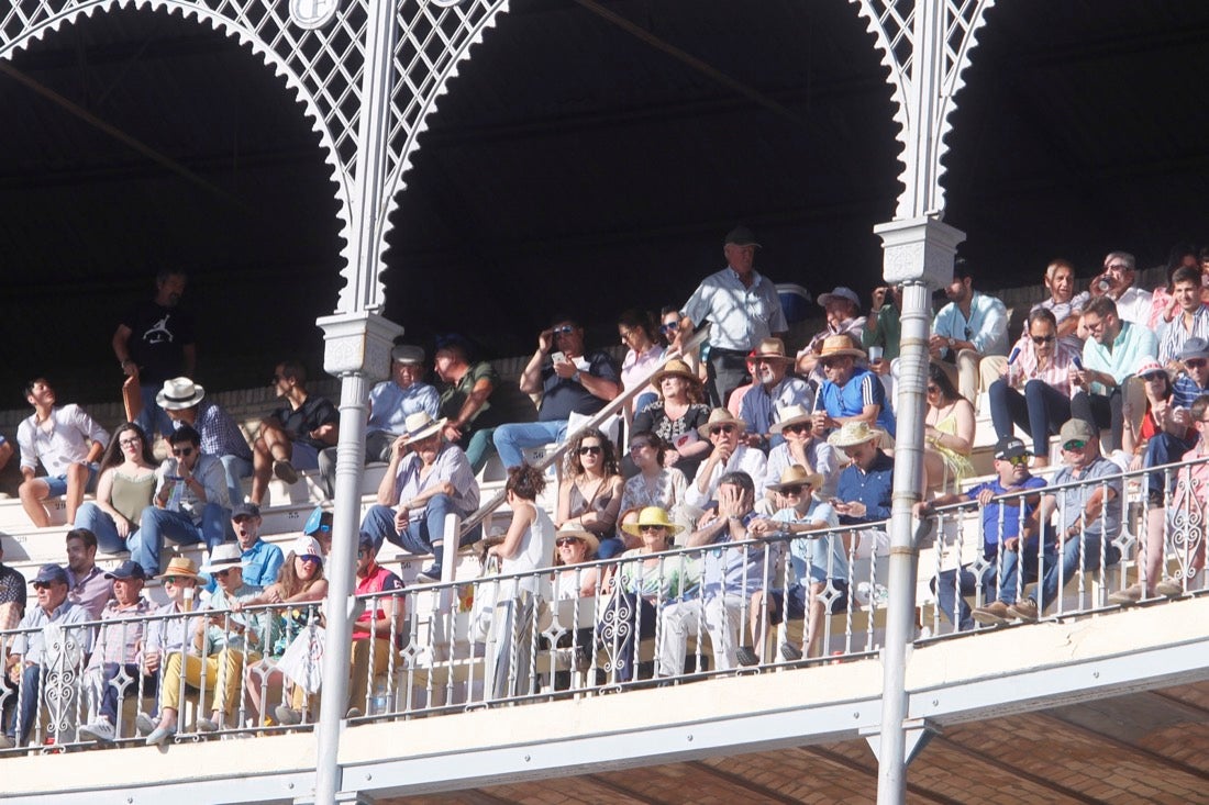 Fueron muchos los que acudieron a la plaza de toros de la ciudad este jueves