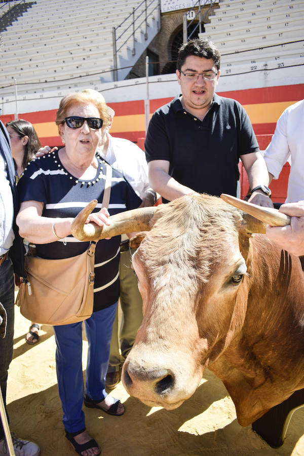 Cinco personas con discapacidad visual se acercaron a la plaza de toros para percibir mediante el tacto y el oído todas esas sensaciones que hacen del toreo un arte único y especial.