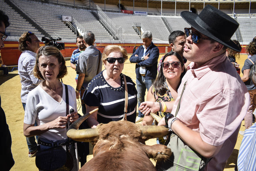 Cinco personas con discapacidad visual se acercaron a la plaza de toros para percibir mediante el tacto y el oído todas esas sensaciones que hacen del toreo un arte único y especial.