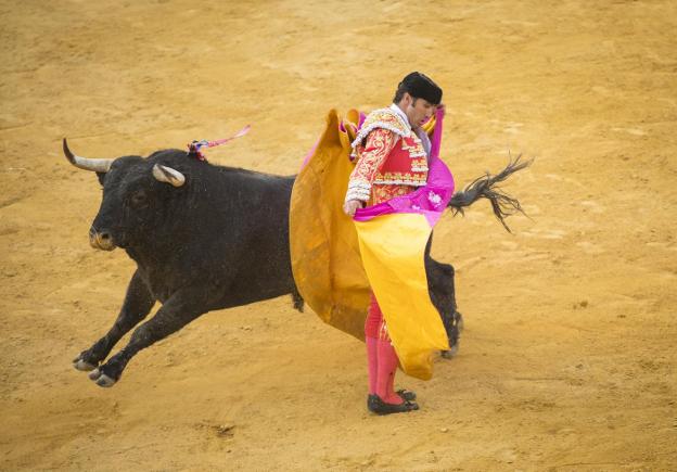 David Fandila 'El Fandi', que estuvo variadísimo con el capote, en una ajustada chicuelina al que cerró plaza.