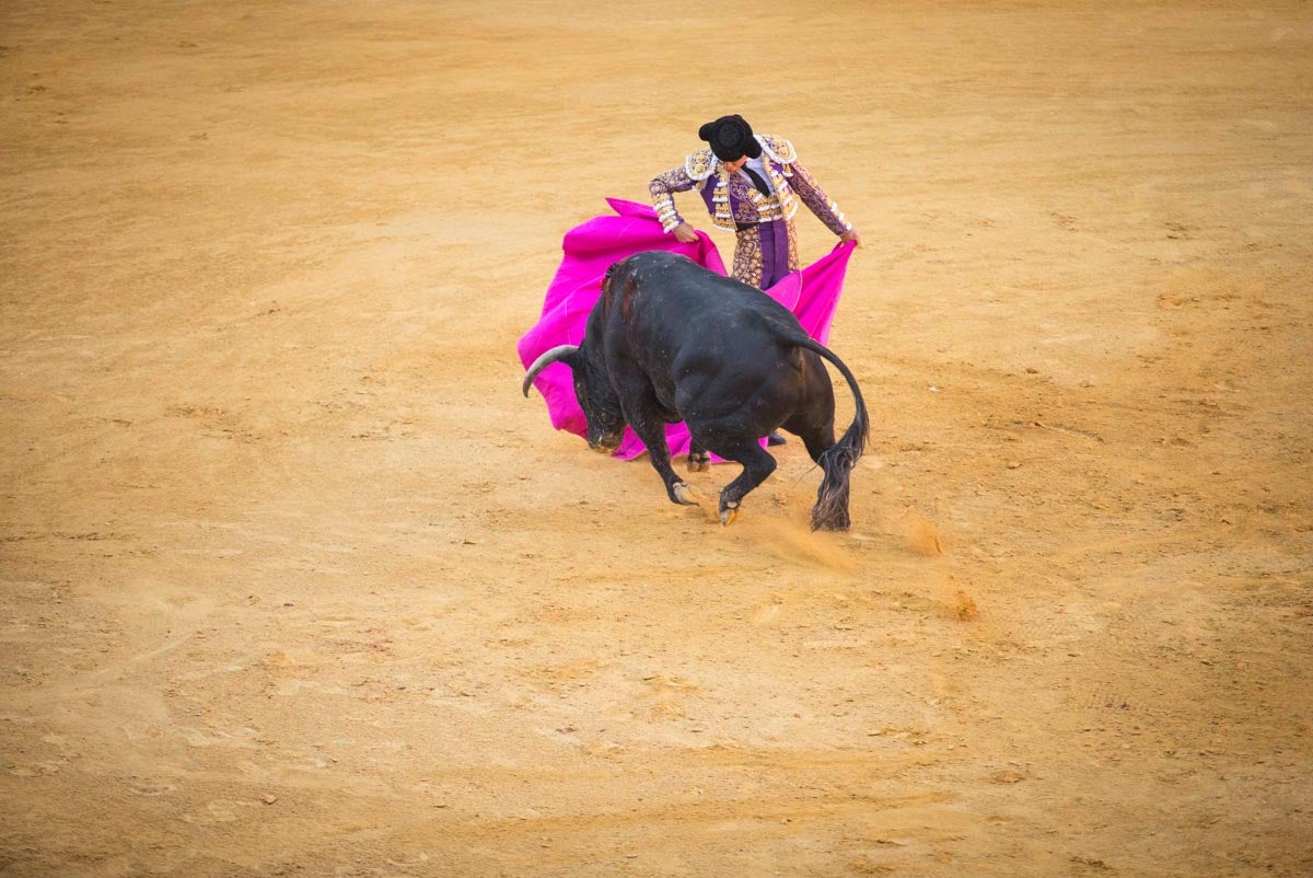 Portentosa actuación del granadino 'El Fandi0', a hombros con Julián López 'El Juli' en tarde de claroscuros de 'Morante de la Puebla'