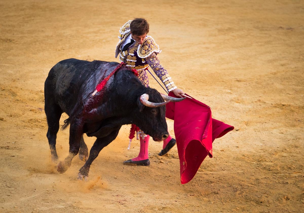 Portentosa actuación del granadino 'El Fandi0', a hombros con Julián López 'El Juli' en tarde de claroscuros de 'Morante de la Puebla'